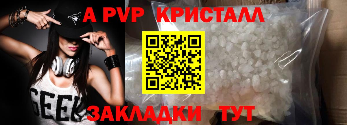 A PVP СК КРИС Мичуринск