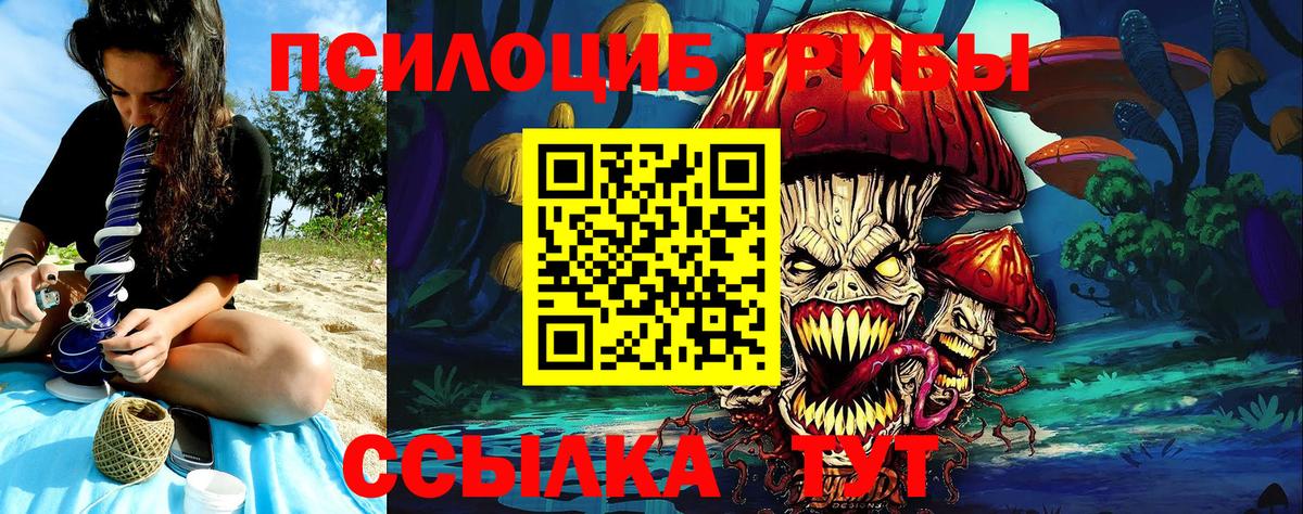 Галлюциногенные грибы GOLDEN TEACHER  Вход с VPN  где купить наркотик  Мичуринск  Псилоцибиновые грибы ЛСД 